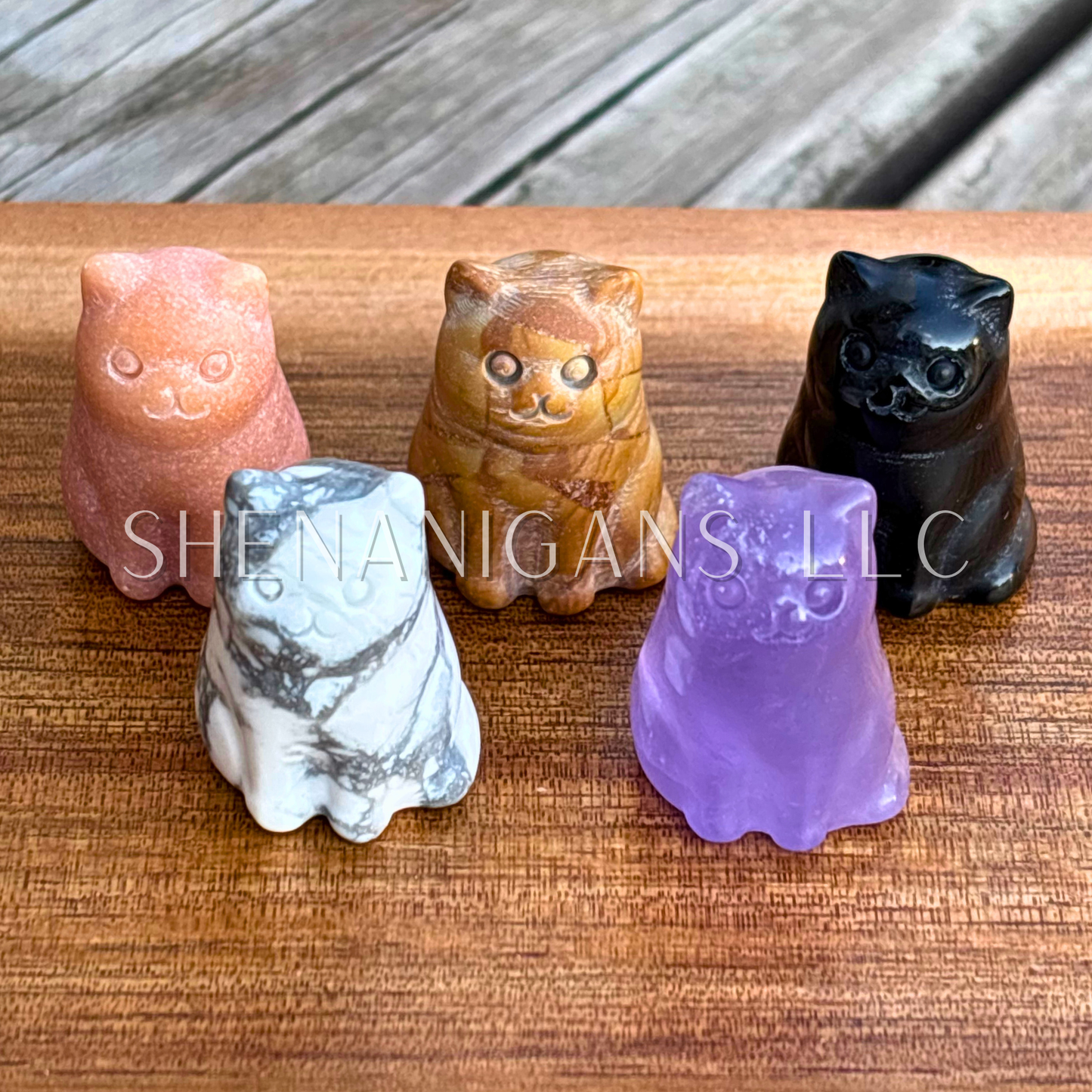 Sitting Fat Cat