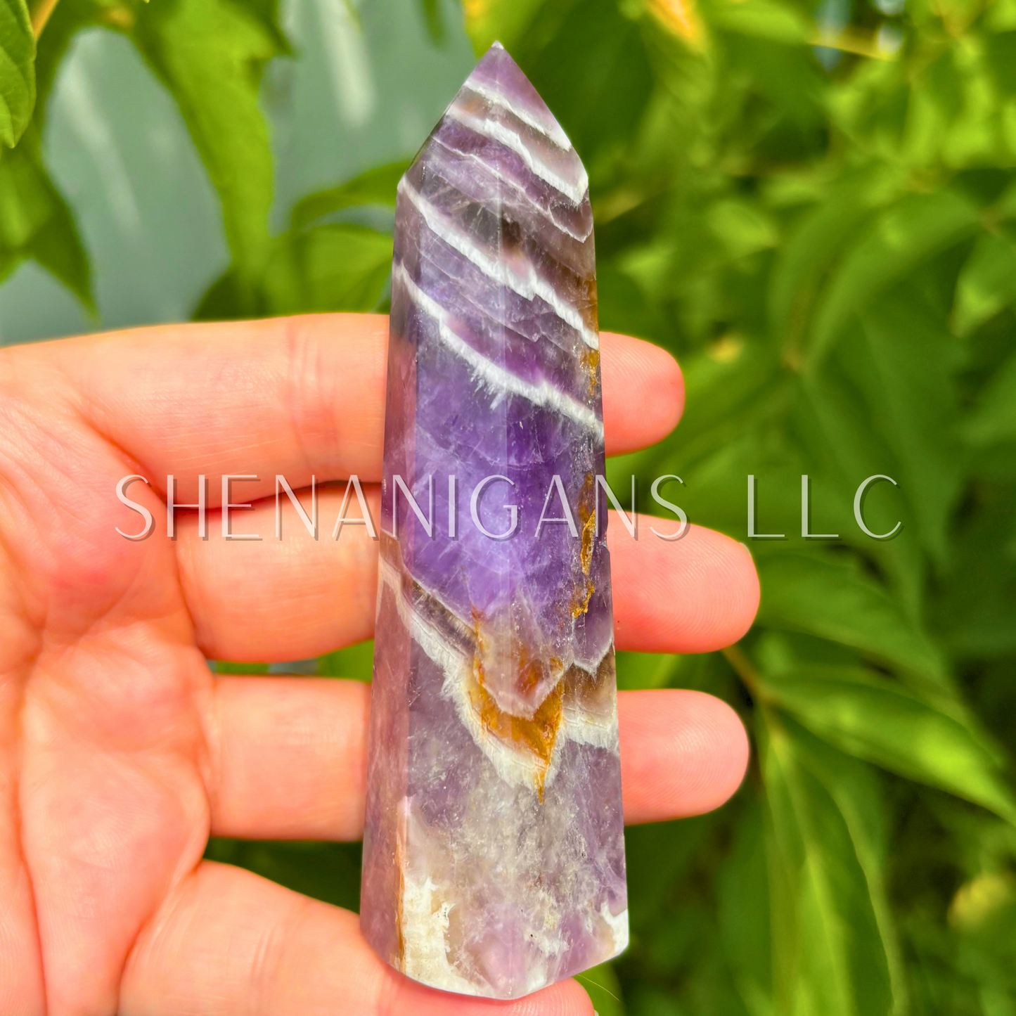 Chevron Amethyst Point