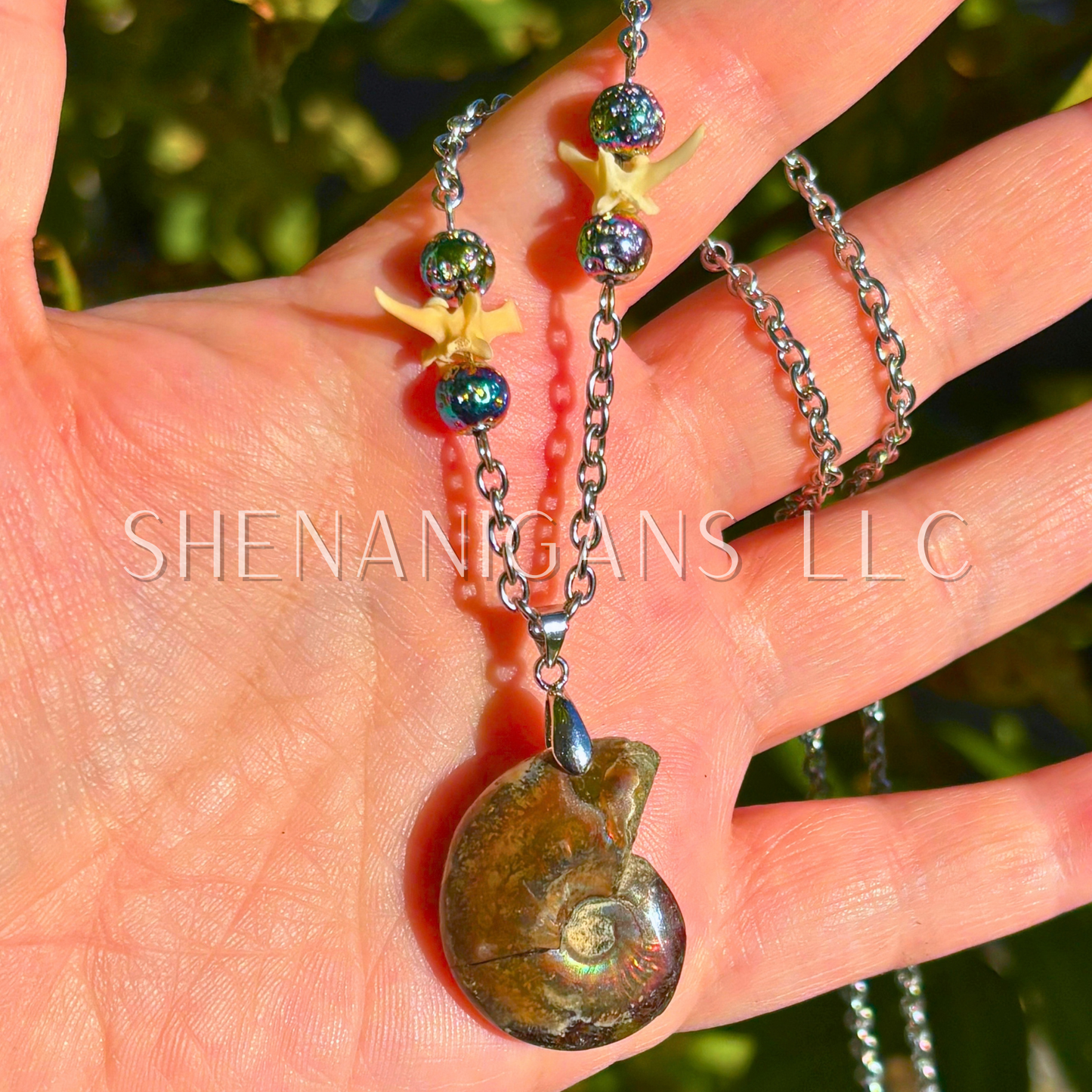Ammonite Shell Necklace