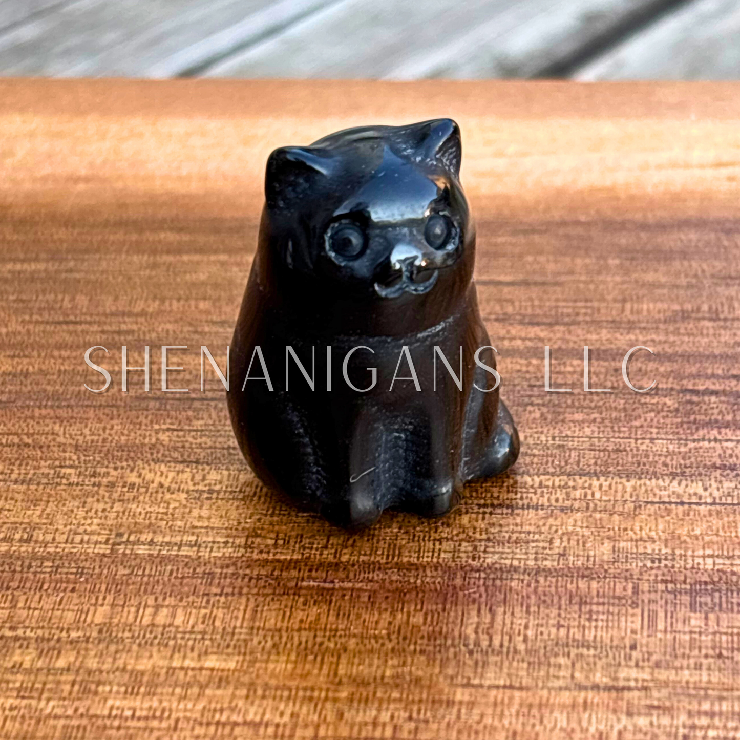 Sitting Fat Cat