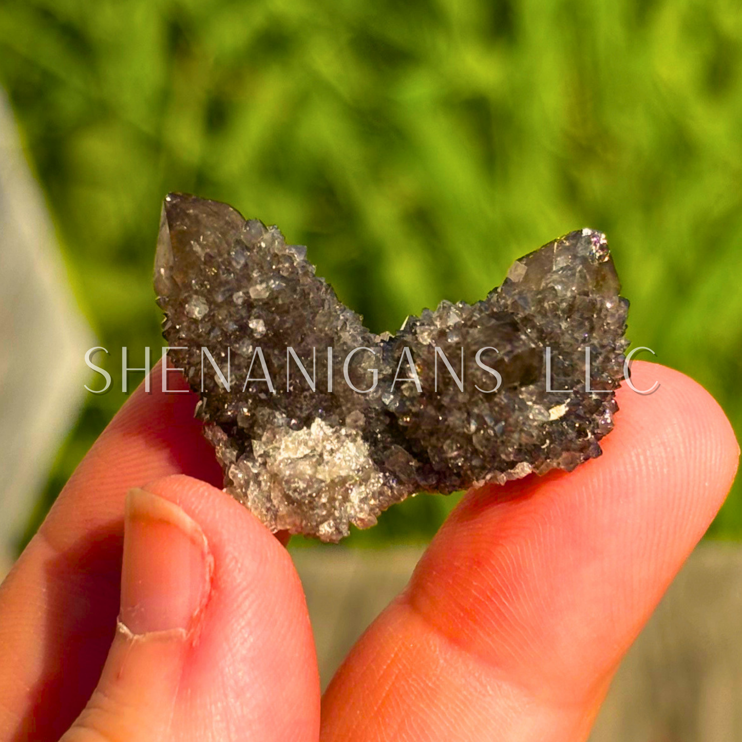Black Spirit Quartz Specimen