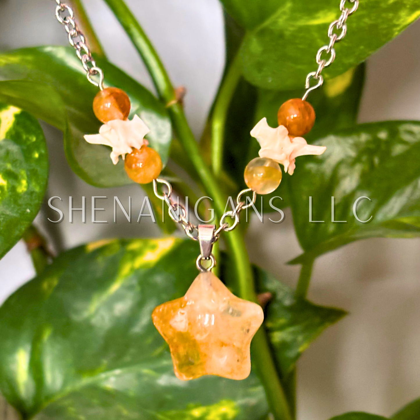 Golden Healer Star Pendant – Beads & Rattlesnake Vertebrae Necklace