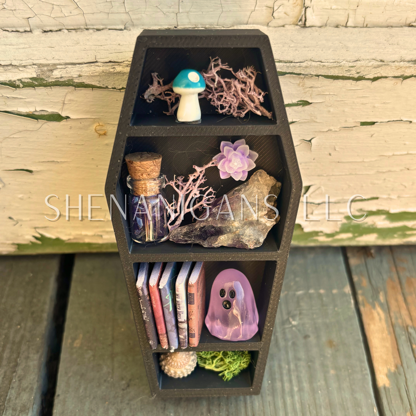 Curio Shelf Mini Coffin Magnet