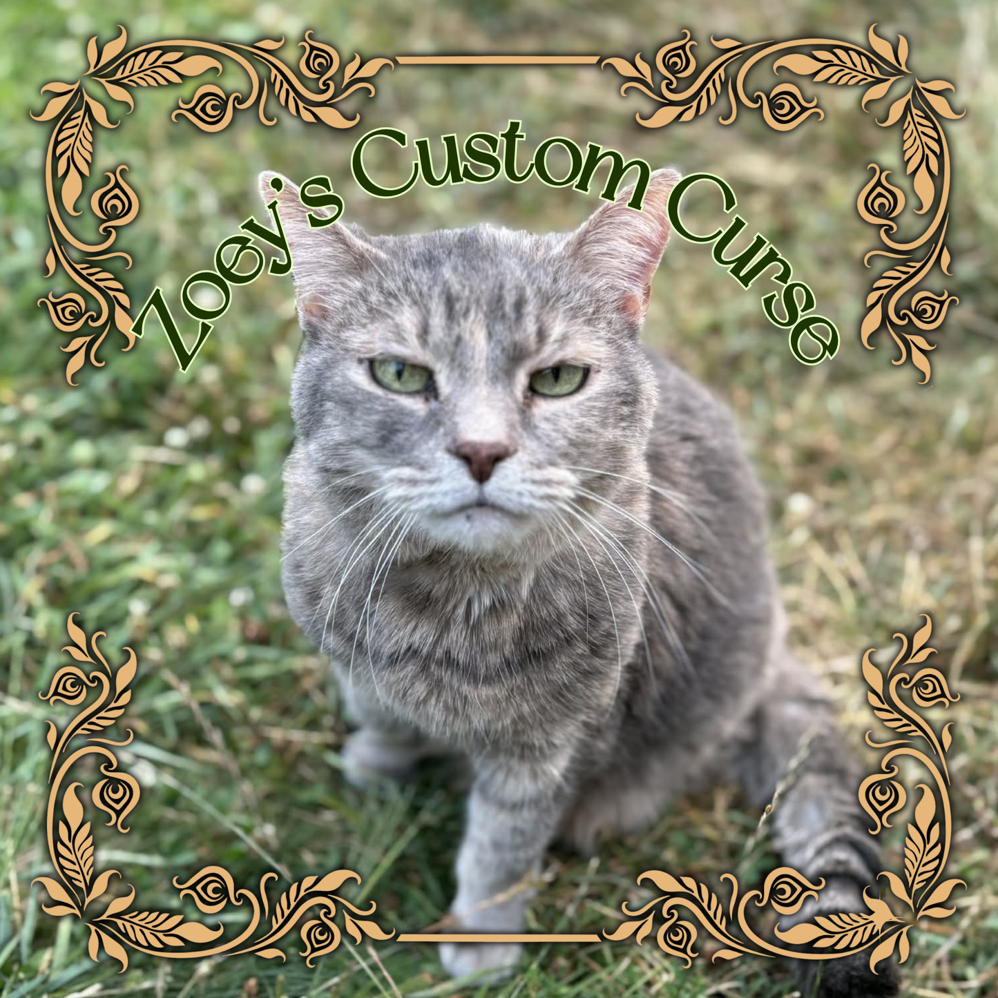 Zoey’s Custom Curse – A Chaotic Blessing for a Good Cause