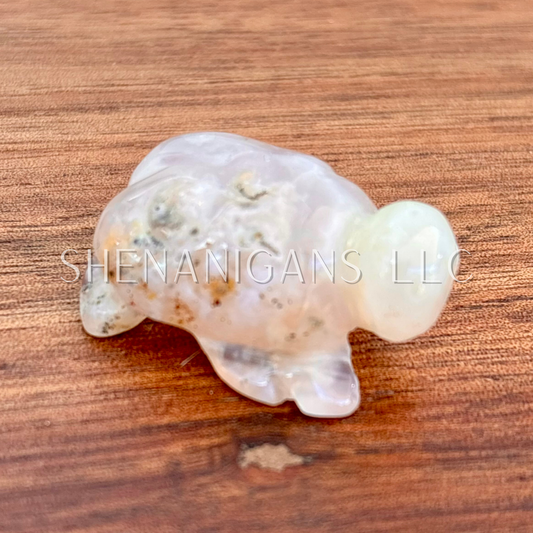 Tiny Turtle Carving
