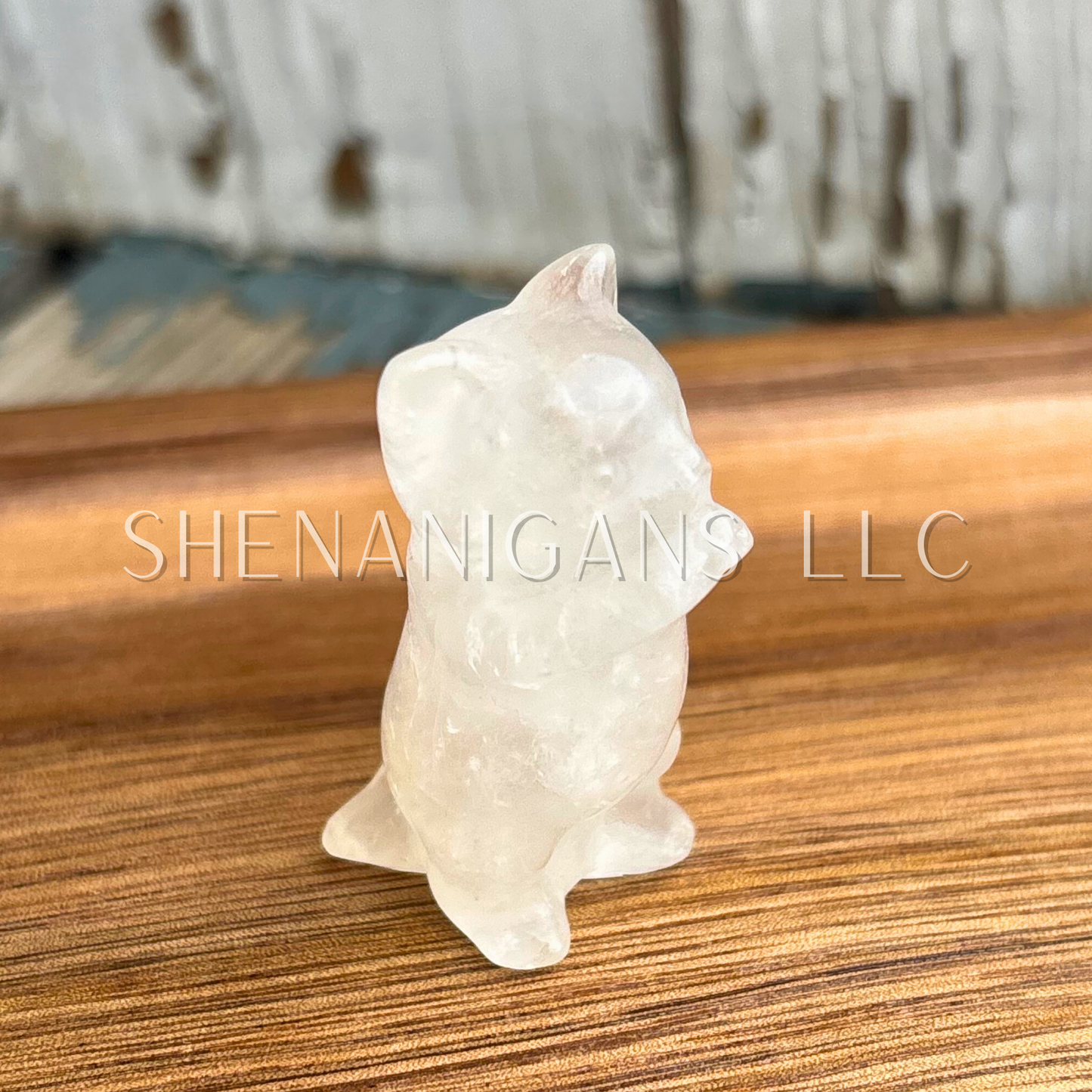 Praying Cat