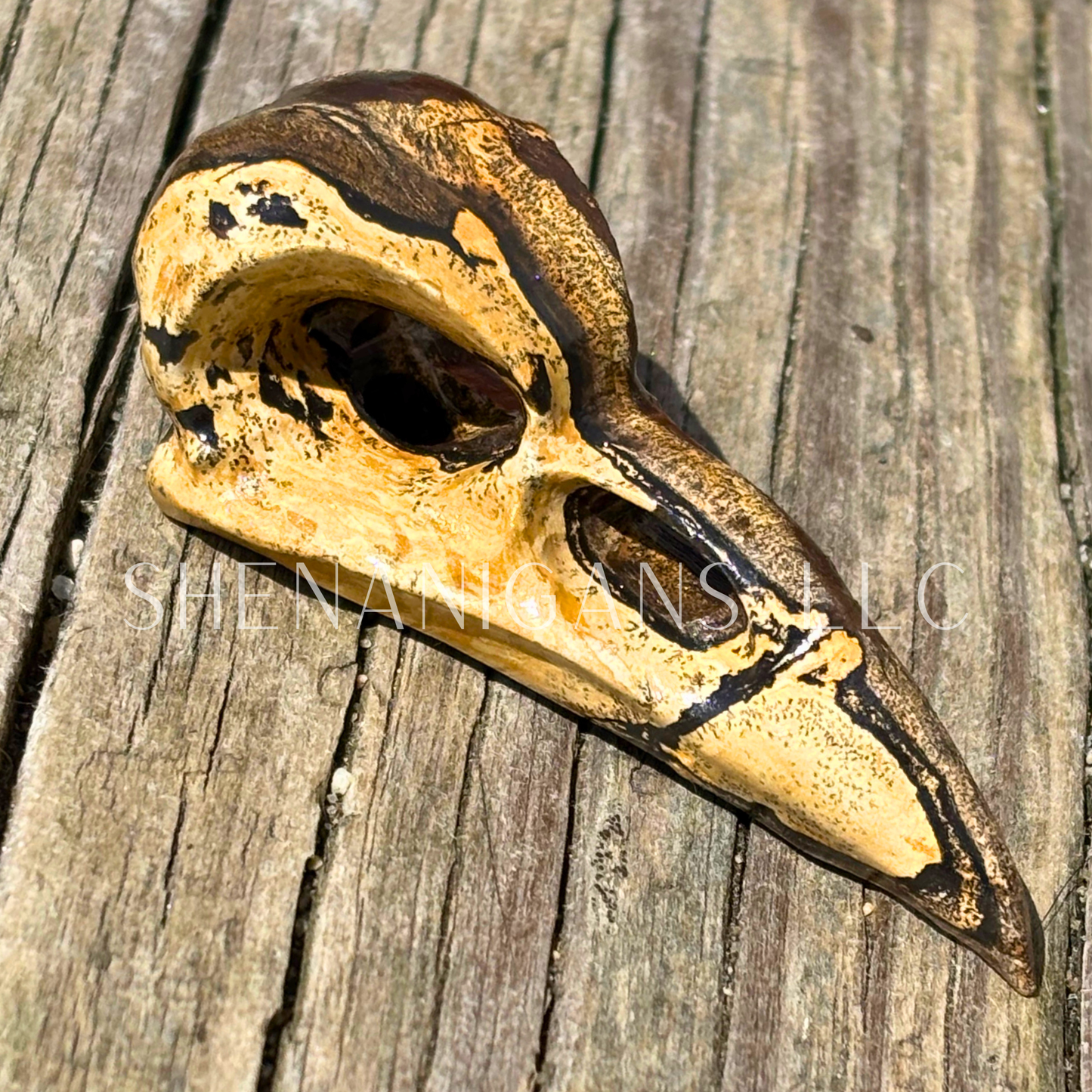 Raven Skull - Large - Crystal Carving