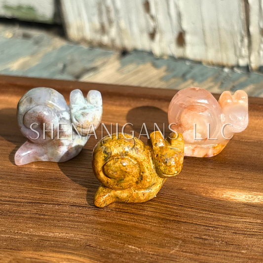 Tiny Cute Snail