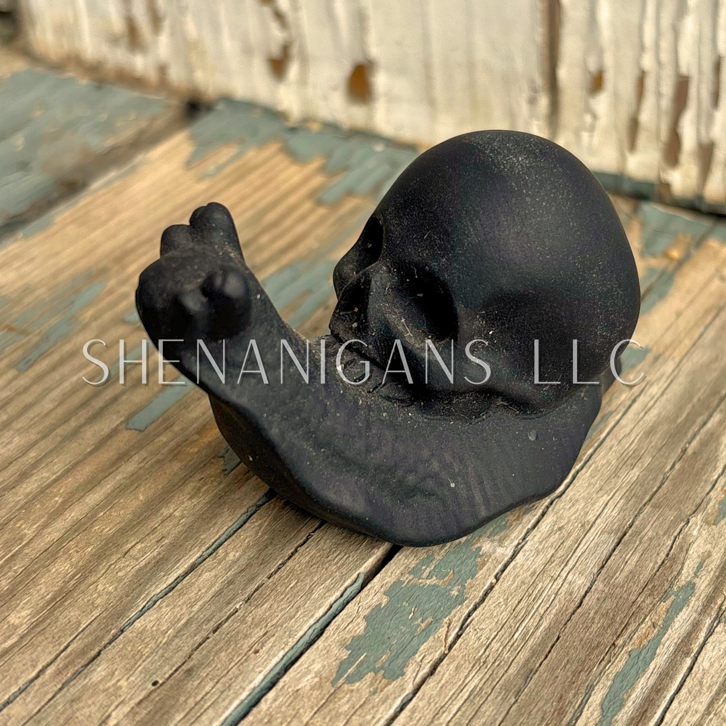 Skull Shell Snail
