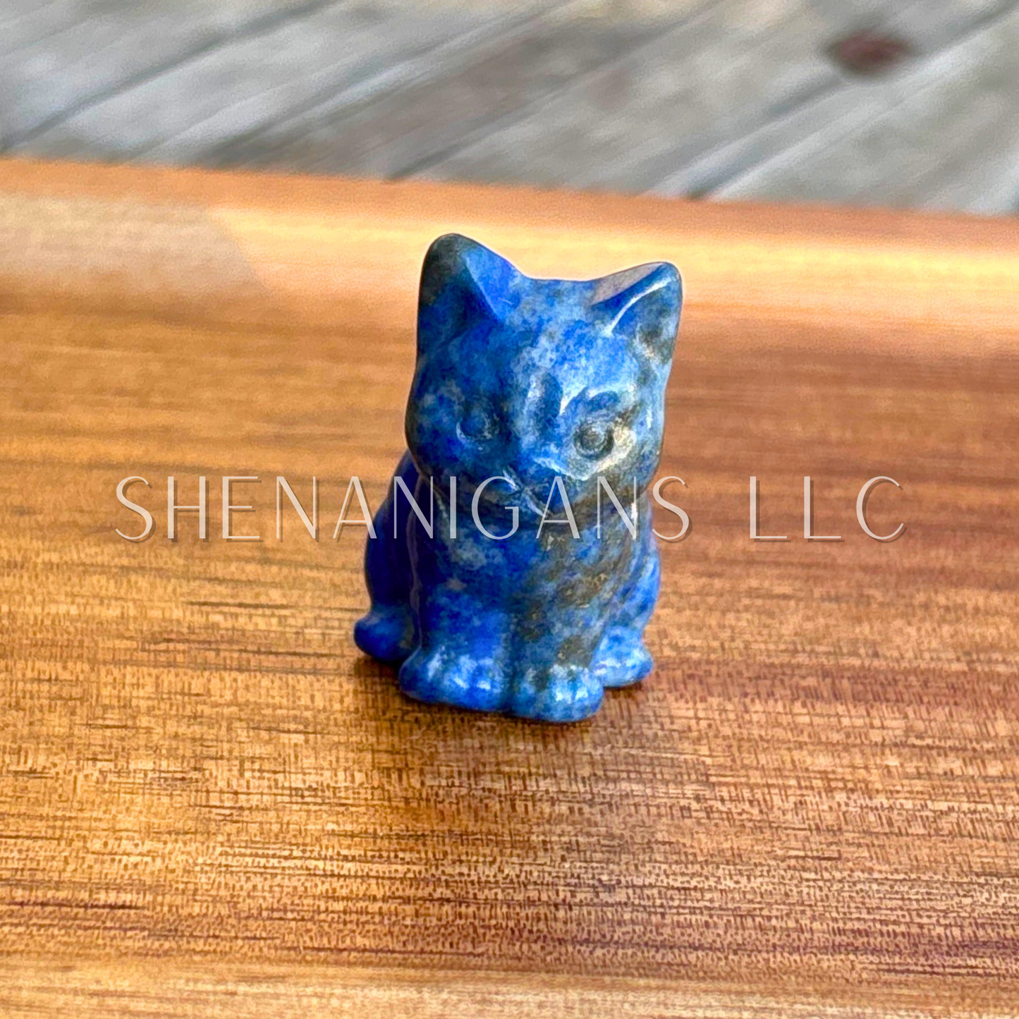 Sitting Cat