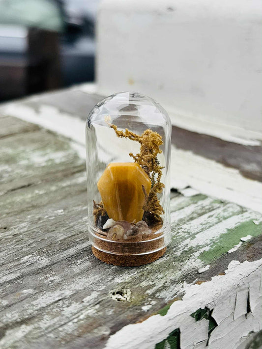 Coffin 1.75" Dome Jar