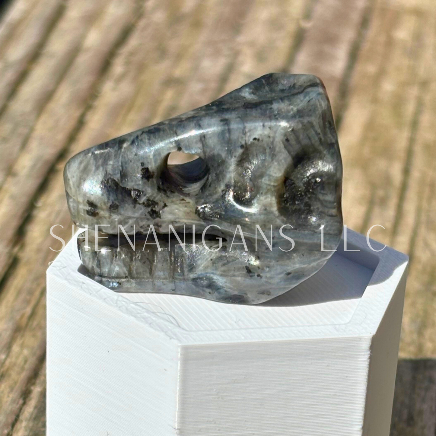 T-Rex Skull - Mini - Crystal Carving