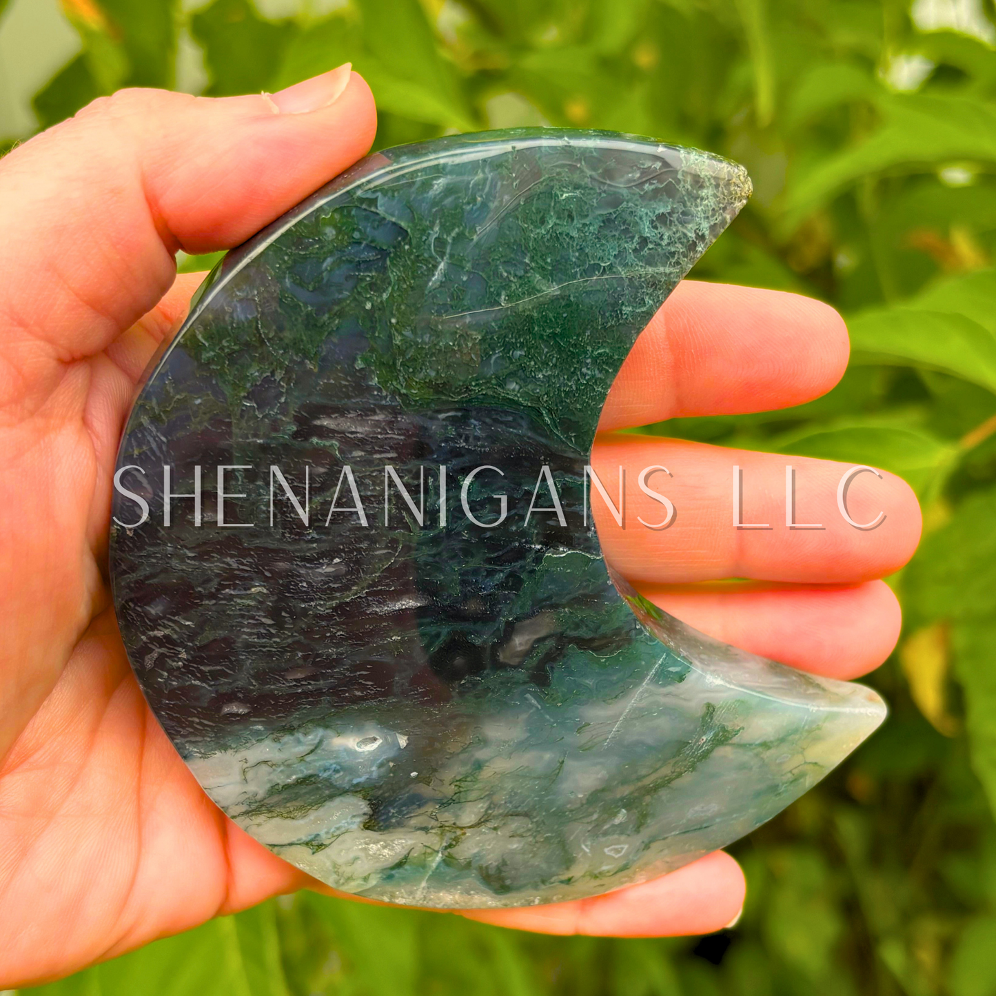 Dark Clear Moss Agate Moon