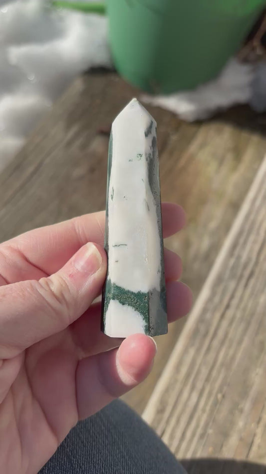 Tree Agate Polished Point Mineral Specimen Gemstone Crystal Obelisk Wand