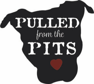 Pulled From The Pits, A Pitbull Rescue Campaign