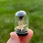 Rattlesnake Vertebrae Floral Dome Cloche Specimen Jar ~ 1.5 inches