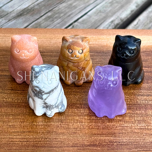 Sitting Fat Cat