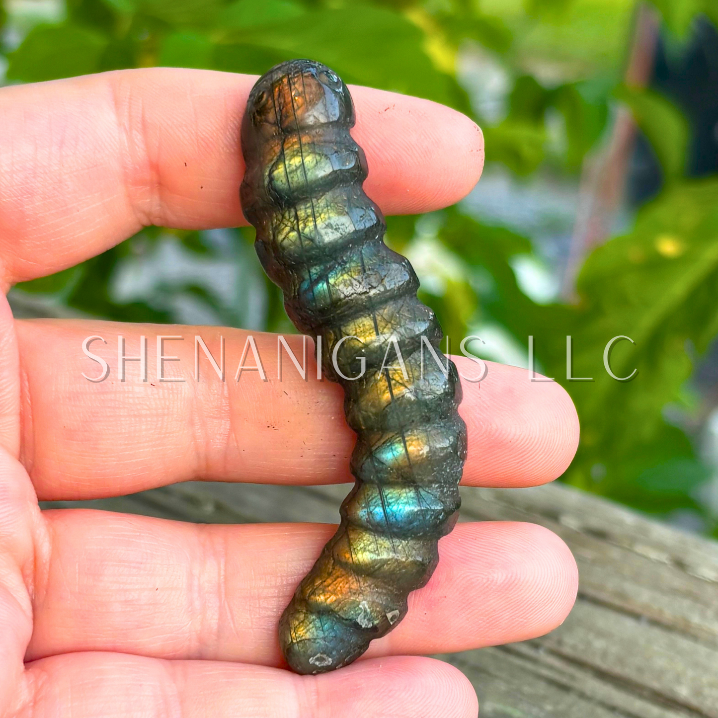 Worm Carving