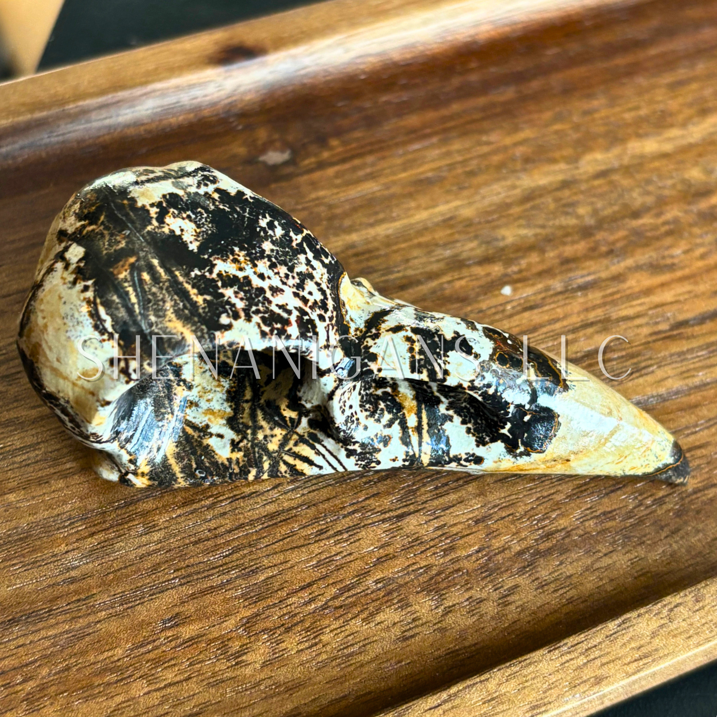 Raven Skull - Large - Crystal Carving