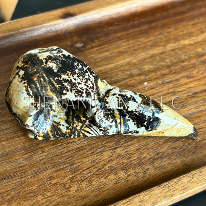 Raven Skull - Large - Crystal Carving