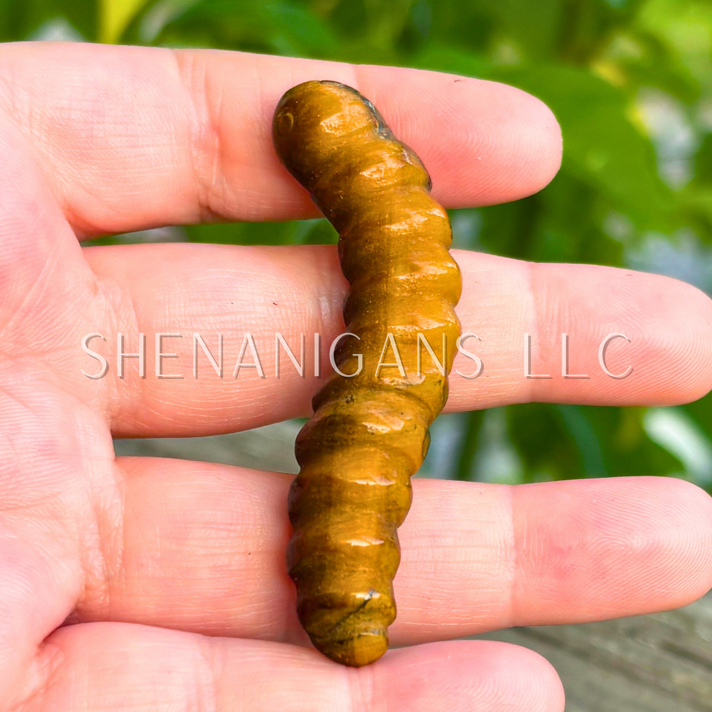 Worm Carving