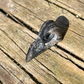 Raven Skull - Small - Crystal Carving