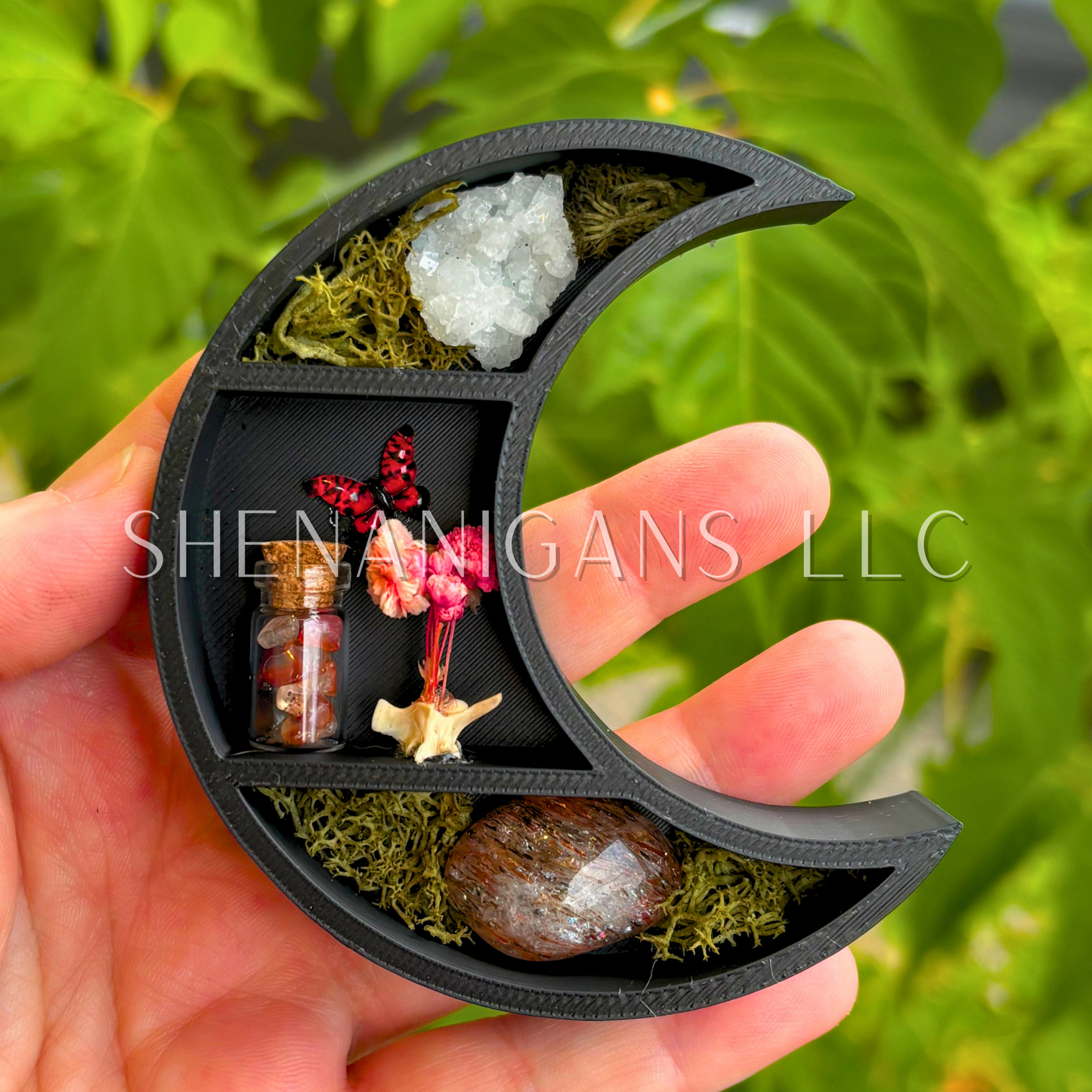 Mini Crescent Moon Magnet with Rattlesnake Vertebrae and Butterfly - 3D Printed Moon Display with Handpicked Crystals, Moss & Trinkets (Copy) (Copy) (Copy)
