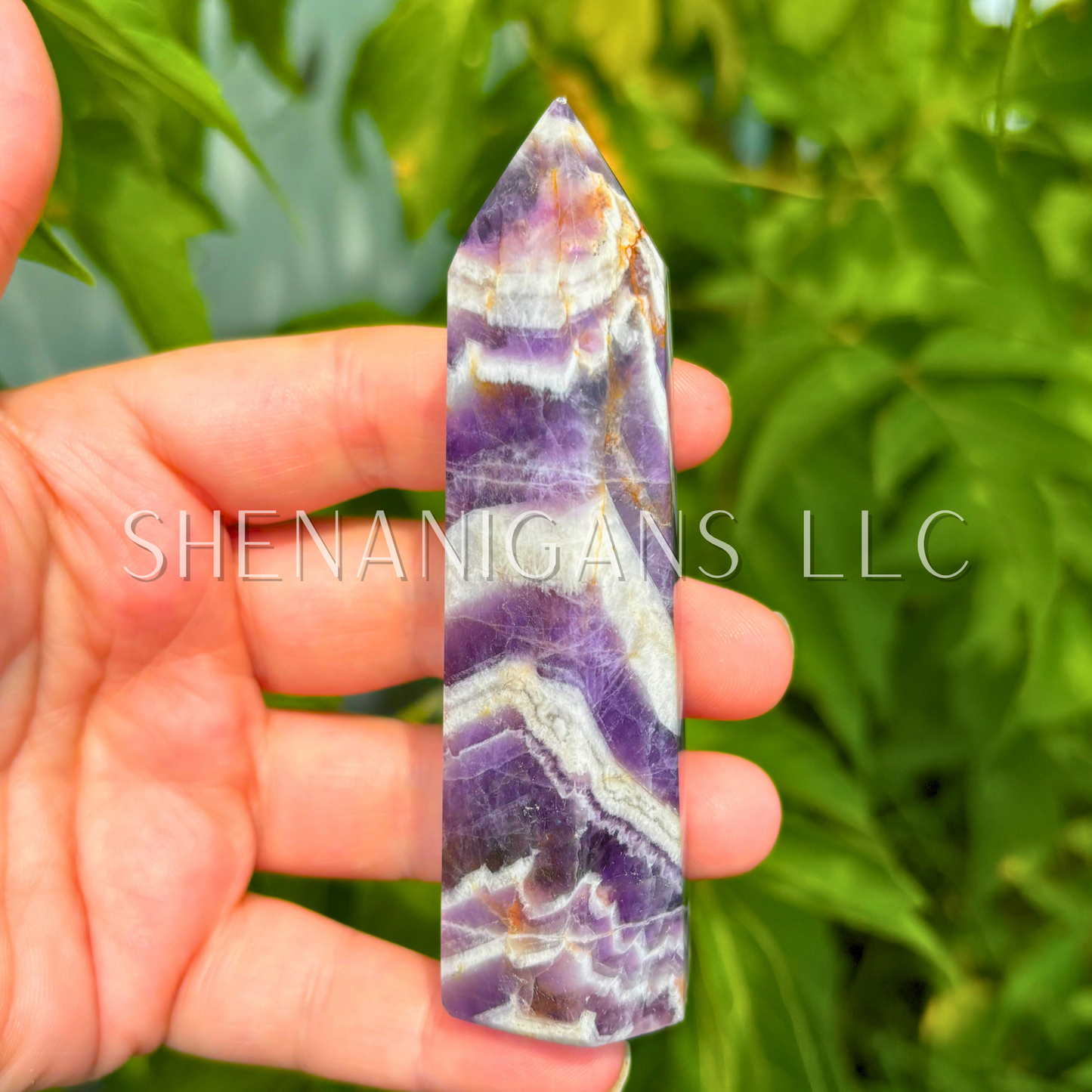 Chevron Amethyst Point