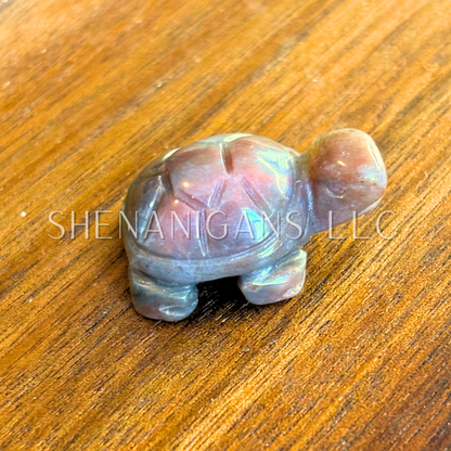 Tiny Turtle Carving | Symbol of Patience & Protection