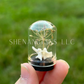 Rattlesnake Vertebrae Floral Dome Cloche Specimen Jar ~ 1.5 inches