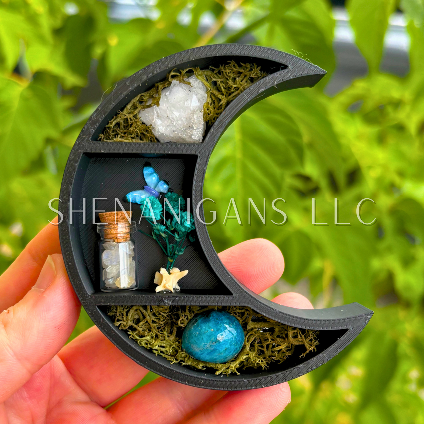 Mini Crescent Moon Magnet with Rattlesnake Vertebrae and Butterfly - 3D Printed Moon Display with Handpicked Crystals, Moss & Trinkets (Copy) (Copy) (Copy)