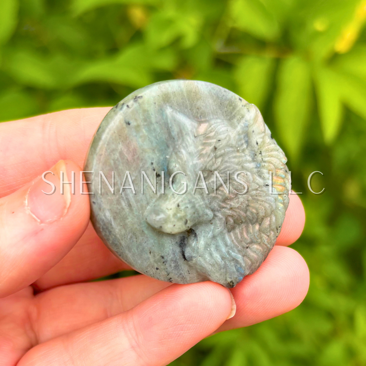 Wolf Labradorite Flat Carving