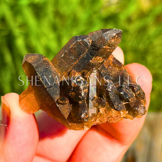 Smokey Quartz Cluster - Raw Specimen