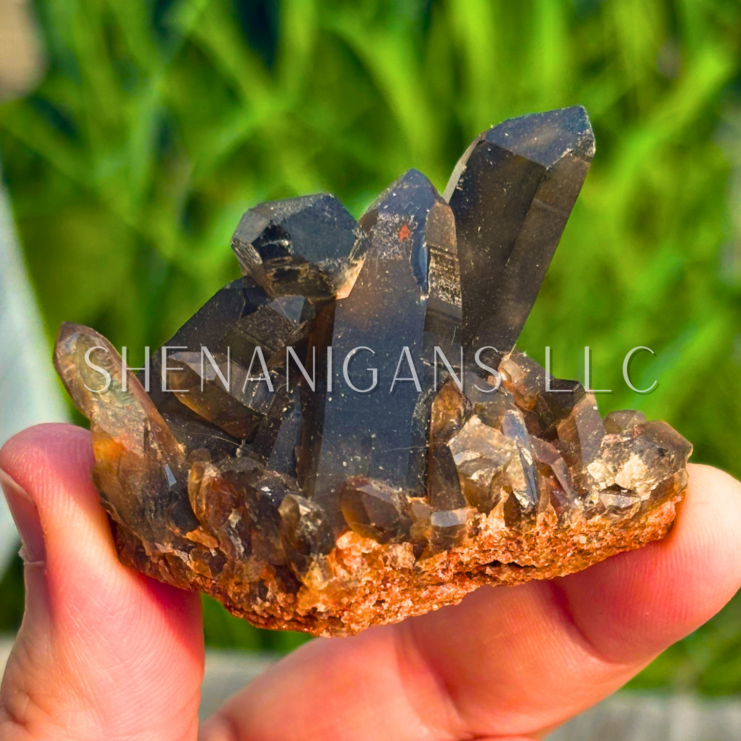 Smokey Quartz Cluster - Raw Specimen