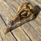 Raven Skull - Large - Crystal Carving