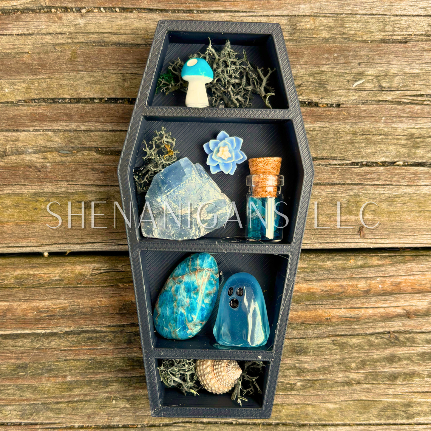 Mini Coffin Crystal Shelf | 3D Printed Moon Display with Handpicked Crystals, Moss & Trinkets Magnet