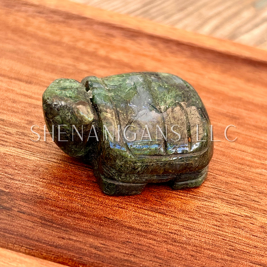 Turtle Carving