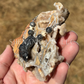 Larvikite Hanging Fruit Bat Necklace with Rattlesnake Vertebrae
