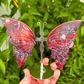 Mexican Crazy Lace Butterfly Wings on Stand Crystal Carving