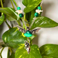 Malachite Flying Bat with Anatomical Heart Necklace with Snake Vertebrae