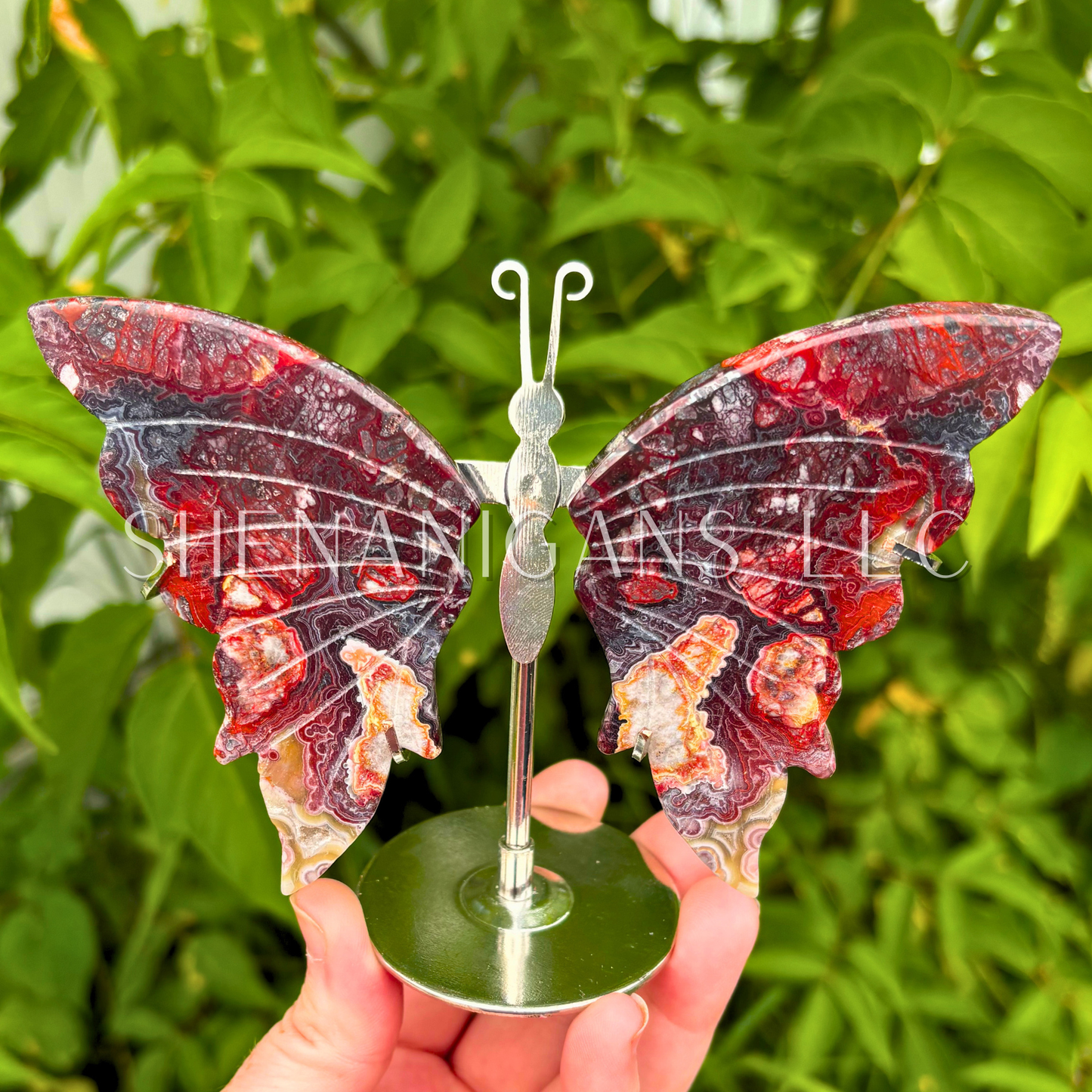 Mexican Crazy Lace Butterfly Wings on Stand Crystal Carving