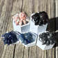 Spider - Small - Crystal Carving