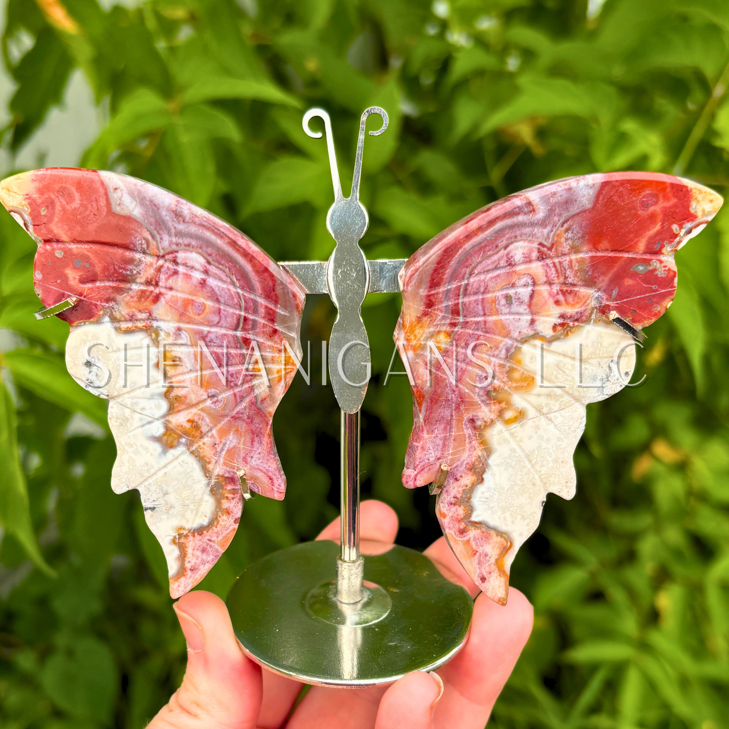 Mexican Crazy Lace Butterfly Wings on Stand Crystal Carving
