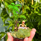 Summerween Prehnite Raw Stone Decor