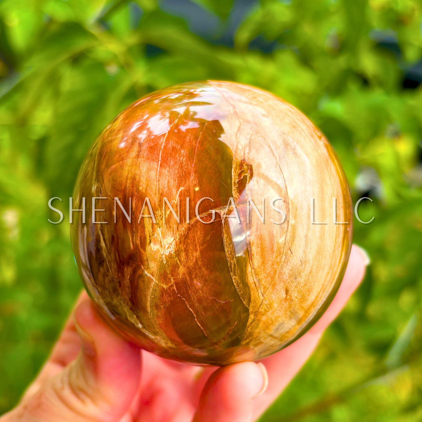Petrified Wood Sphere