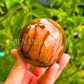 Petrified Wood Sphere