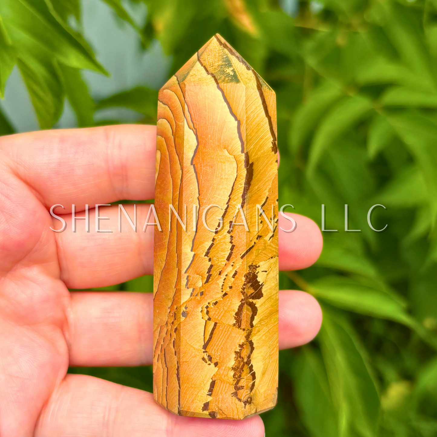 Picture Jasper Point