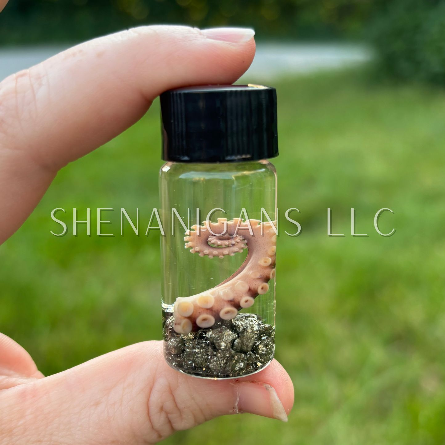 Tentacle Wet Specimen with Crystal Chips - Oddity Curiosity Jar