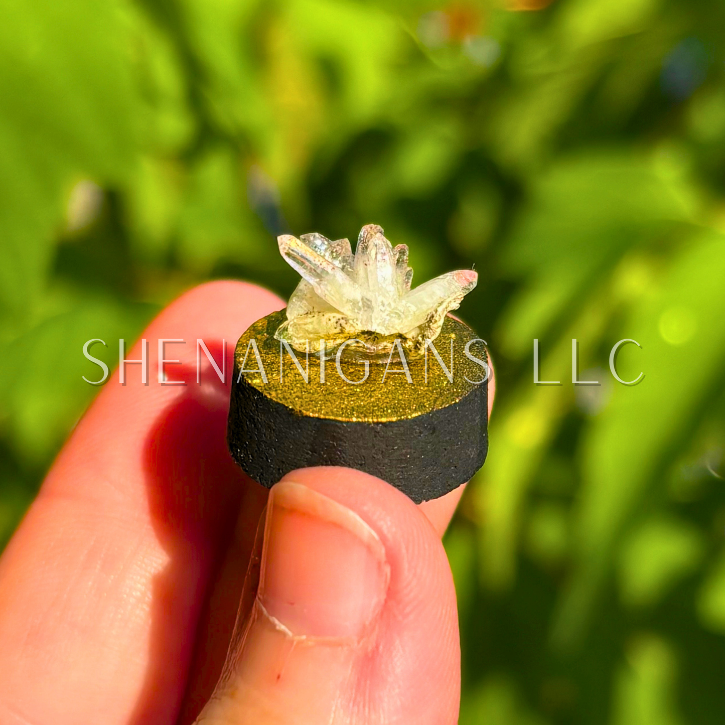 Vera Cruz Amethyst Raw Specimen