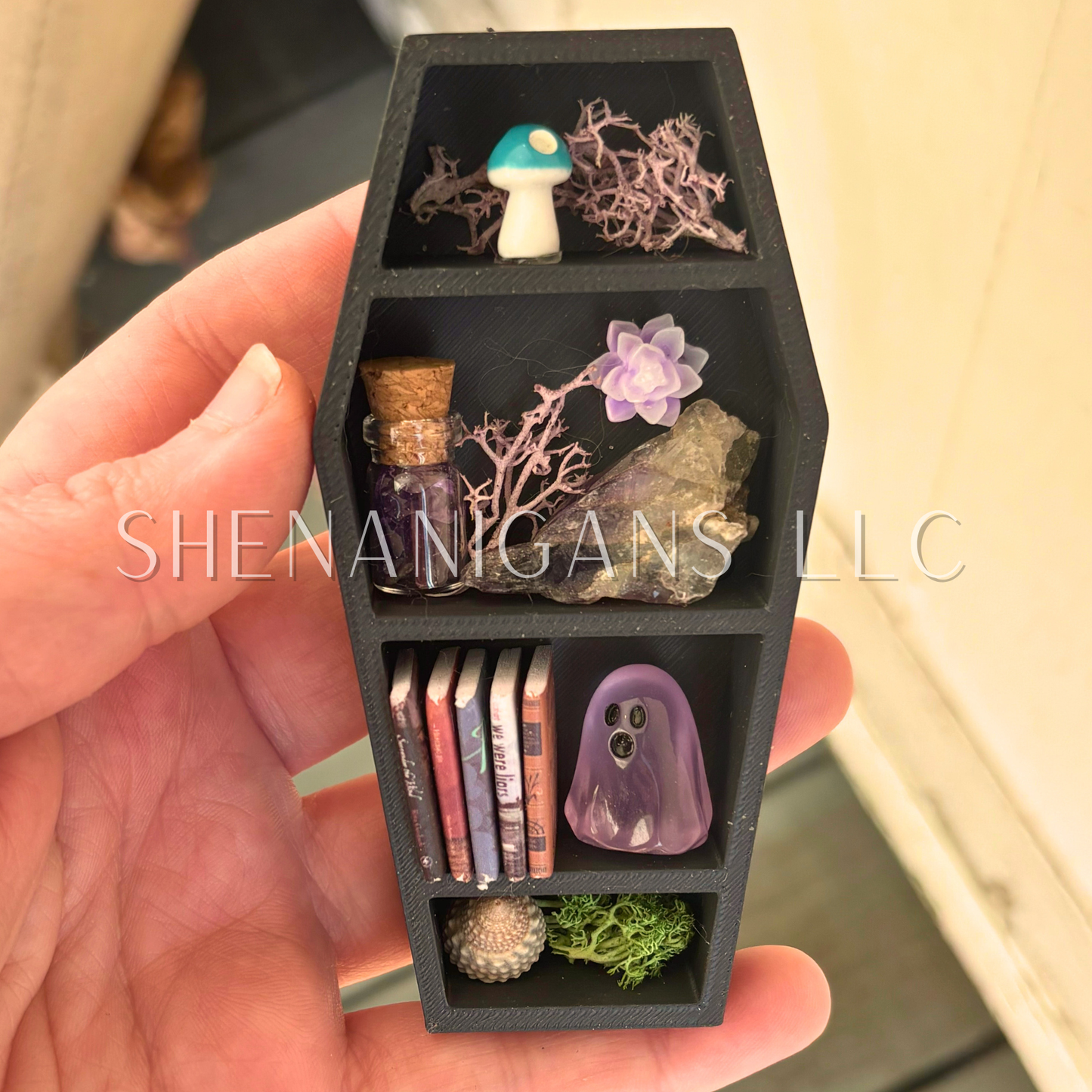 Curio Shelf Mini Coffin Magnet